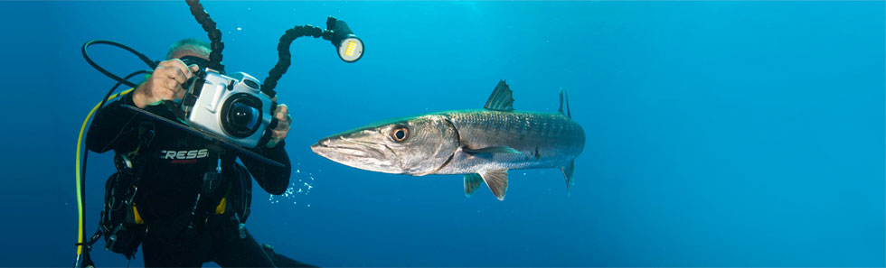 La UCV organiza cursos de filmación submarina