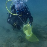Grado en Ciencias del Mar: respuesta a problemas medioambientales