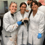 Experiencia OUT – Rosa María García Pardo