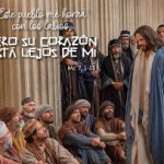 Reflexión martes 11 de febrero