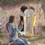 Reflexión martes 22 de abril