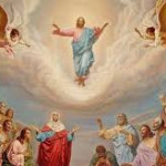 Reflexión Domingo 1 de junio