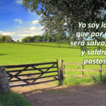 Reflexión lunes 12 de mayo