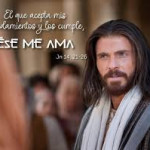 Reflexión lunes 19 de mayo