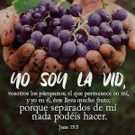 Reflexión miércoles 21 de mayo