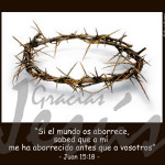 Reflexión sábado 24 de mayo