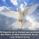 Reflexión lunes 26 de mayo