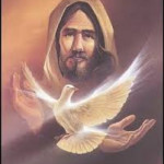 Reflexión martes 27 de mayo