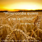 Reflexión viernes 18 de julio