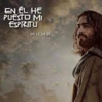 Reflexión sábado 19 de julio