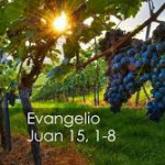 Reflexión miércoles 23 de julio