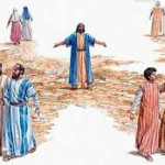 Reflexión domingo 6 de julio