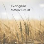 Reflexión martes 8 de julio