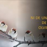 Reflexión viernes 17 de octubre