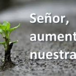 Reflexión domingo 5 de octubre