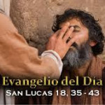 Reflexión lunes 17 de noviembre