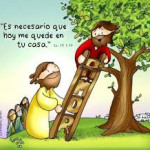 Reflexión martes 18 de noviembre