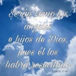 Reflexión sábado 22 de noviembre