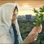 Reflexión viernes 28 de noviembre