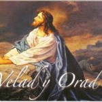 Reflexión sábado 29 de noviembre