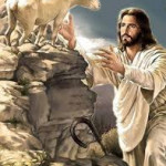 Reflexión jueves 6 de noviembre