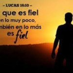 Reflexión sábado 8 de noviembre