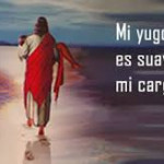 Reflexión miércoles 10 de diciembre