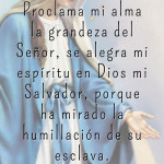 Reflexión lunes 22 de diciembre