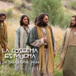 Reflexión sábado 6 de diciembre