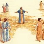 Reflexión jueves 5 de febrero