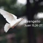 Reflexión lunes 11 de mayo