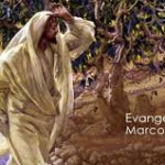 Reflexión viernes 29 de mayo