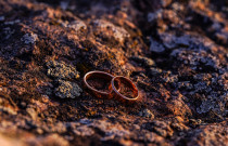 white_crows_nest-rings-8220935_1920 (1)