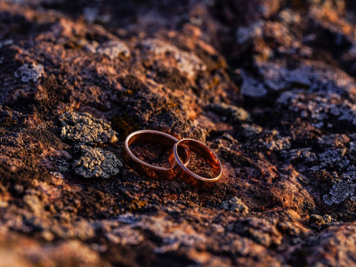 white_crows_nest-rings-8220935_1920 (1)