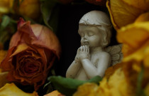 mylene2401-angel-8247278_1920