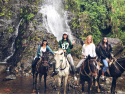 22730294_1726321787439586_6861191153192849285_n