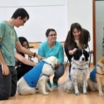 Terapia con animales en la Jornada de Actualización con motivo del Día Internacional de la Terapia Ocupacional
