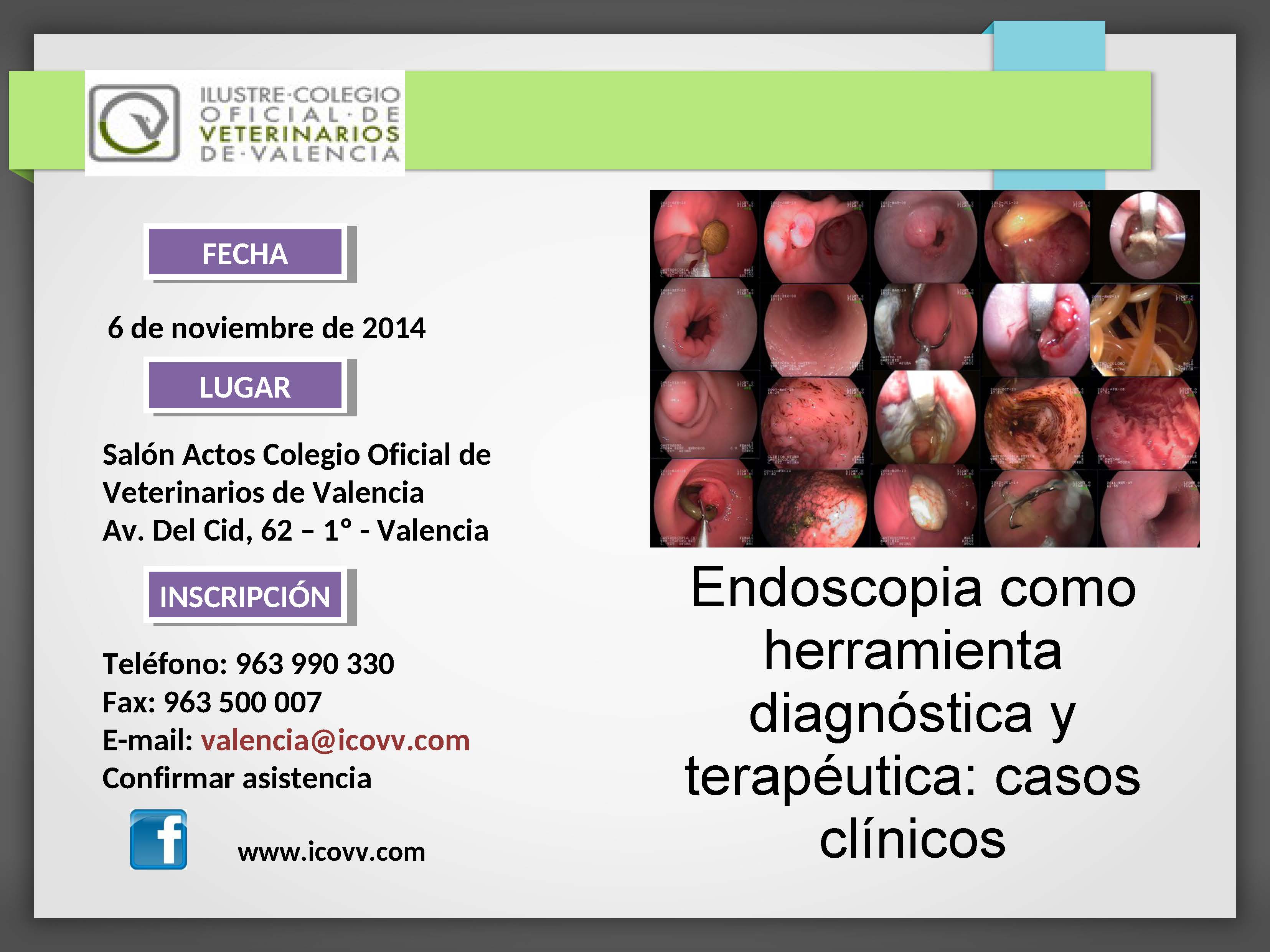 El 6 de noviembre se realizará en el Salón de Actos del Colegio Oficial de Veterinarios de Valencia una charla sobre la endoscopia