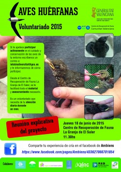 La UCV y el voluntariado con aves huérfanas