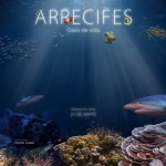Arrecifes se estrena en las pantallas de cine