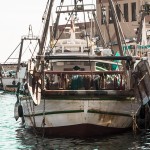 Investigadores en Ciencias del Mar de la UCV y la Cofradía de Pescadores de Calp refuerzan su alianza para potenciar la investigación pesquera
