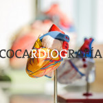 Neumología y Ecocardiografía