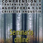 COMPRENSIÓN Y TRATAMIENTO DE LA AGORAFOBIA Y LA CRISIS DE LA ANGUSTIA