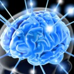 Fundamentos de Neurociencia amplía sus prácticas de disección neuroanatómica